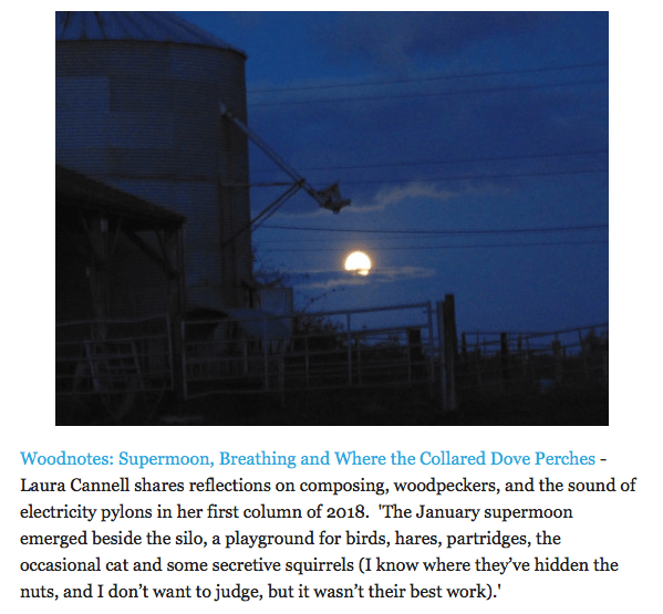 Screen Shot 2018-03-02 at 13.52.51